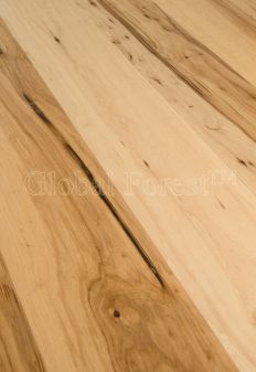 Hickory Pecan