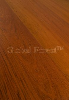 Jatoba