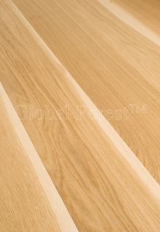 Oak