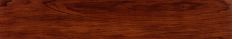 American Walnut
