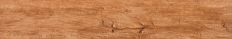 Antique Elm