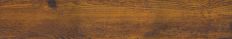 Hickory