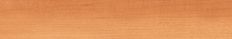 Beech Light