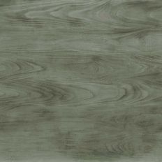 Grey Mountain Elm