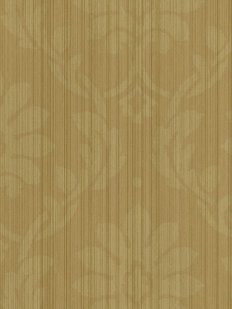 Rl21905 Enl