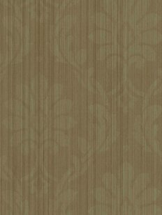 Rl21918 Enl