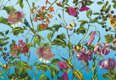 Xxl4-029 Jardin Ma