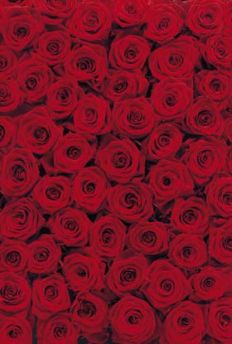 4-077
