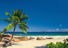 4-006